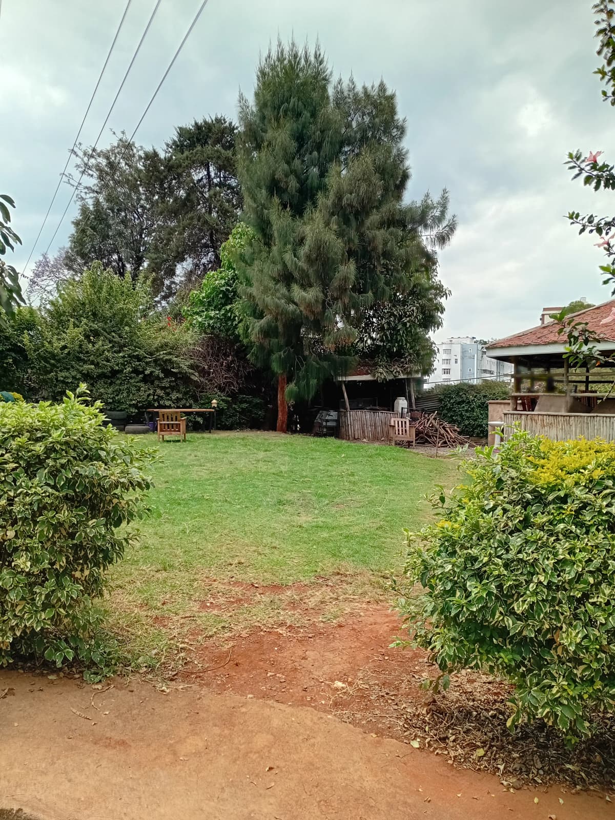 Spacious compound grounds with mature trees and green lawn
