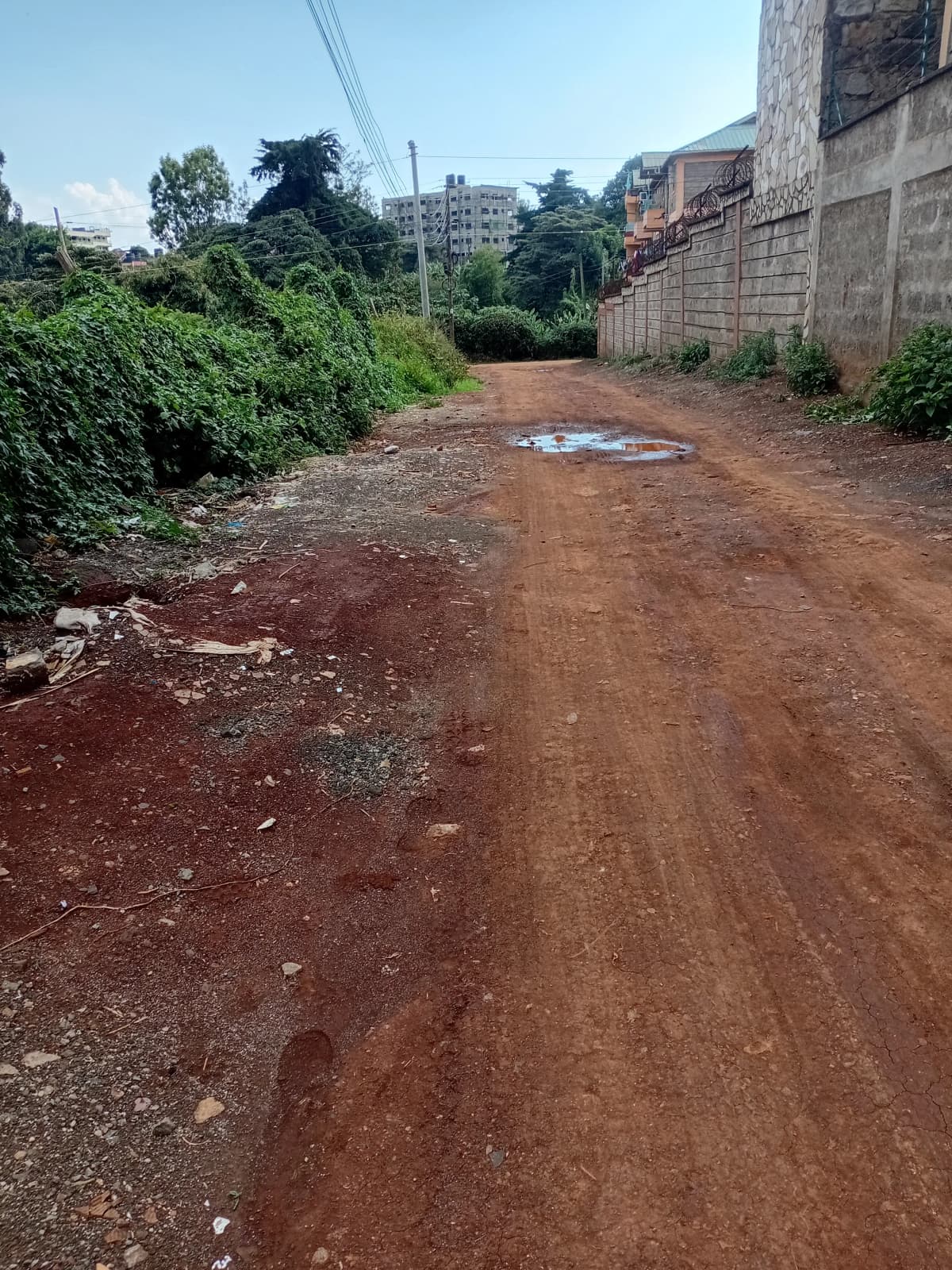 Undeveloped compound grounds with red soil and vegetation