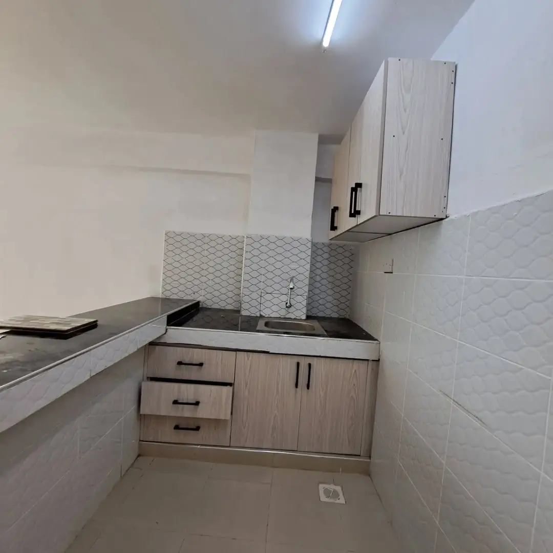 Compact kitchen with grey cabinetry and tiled backsplash