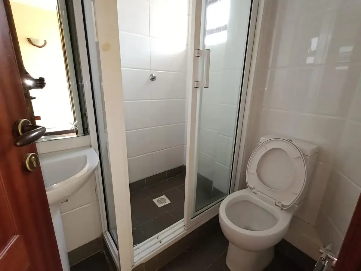 Compact bathroom with toilet, sink, and enclosed shower cubicle