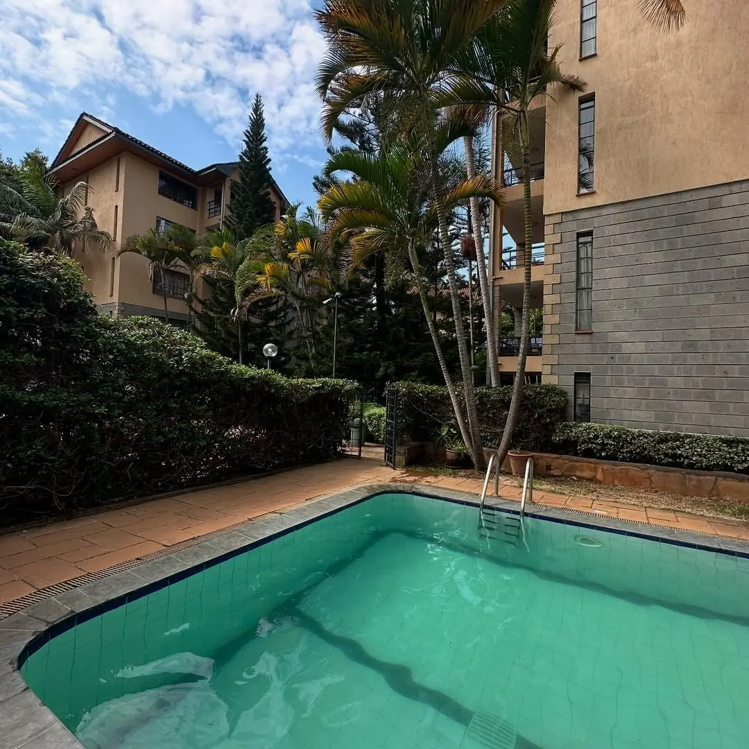 Rectangular swimming pool with turquoise water, palm trees