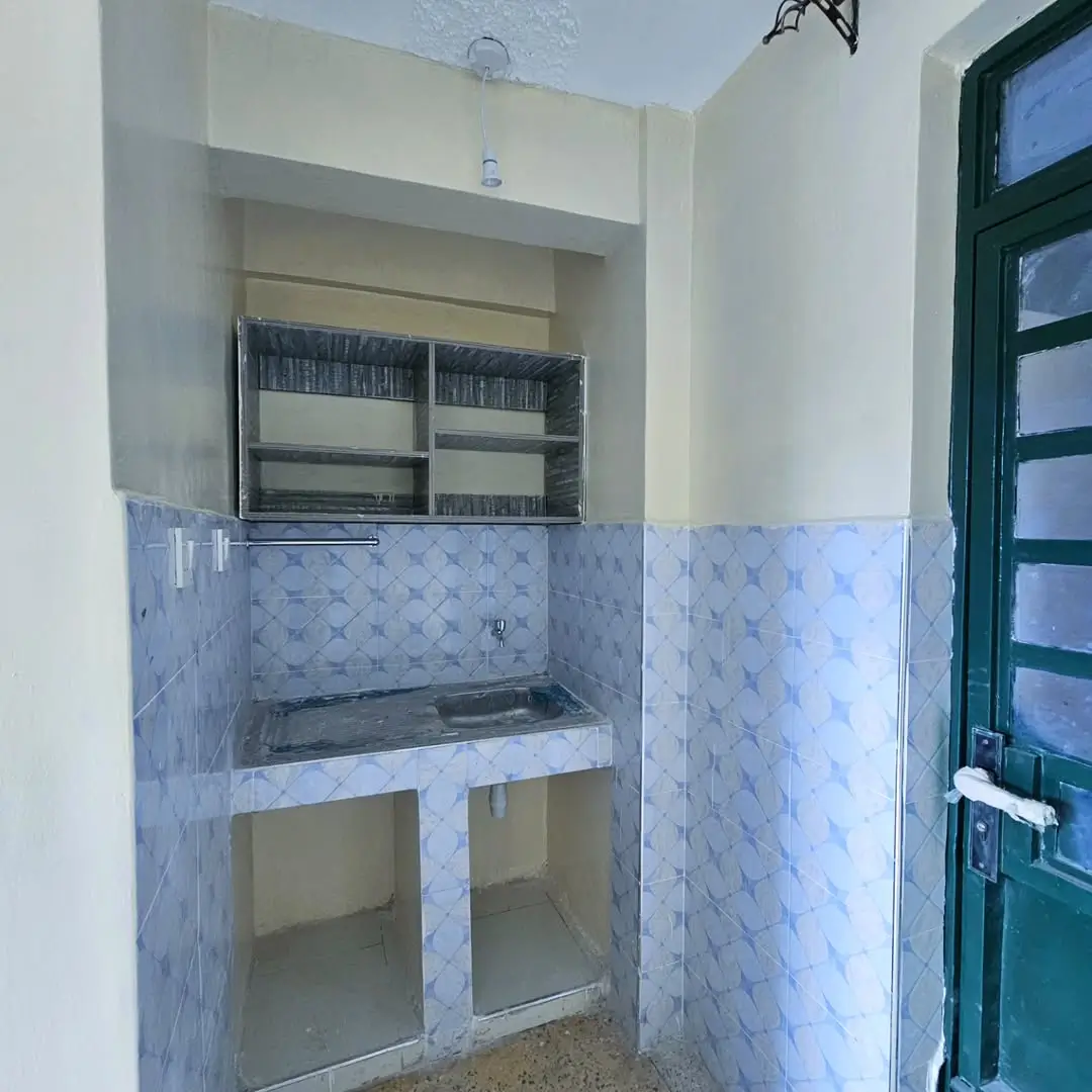 Compact kitchen with blue tile backsplash and open shelving