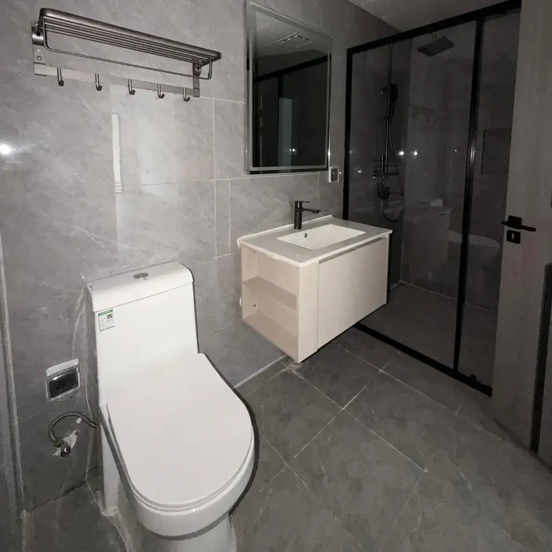 Modern bathroom with toilet, sink vanity, shower enclosure