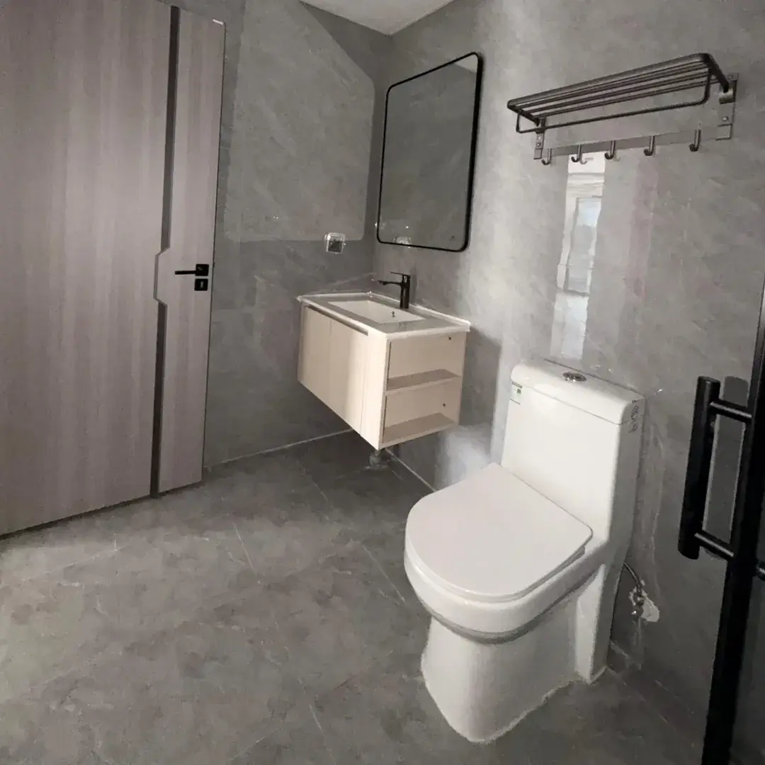 Modern bathroom with toilet, sink vanity, mirror, towel rack