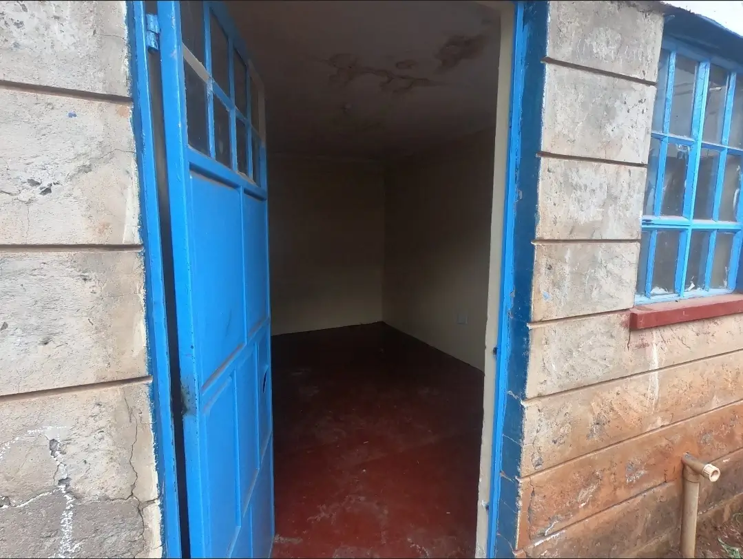 Dark interior room with blue double doors, minimal visibility