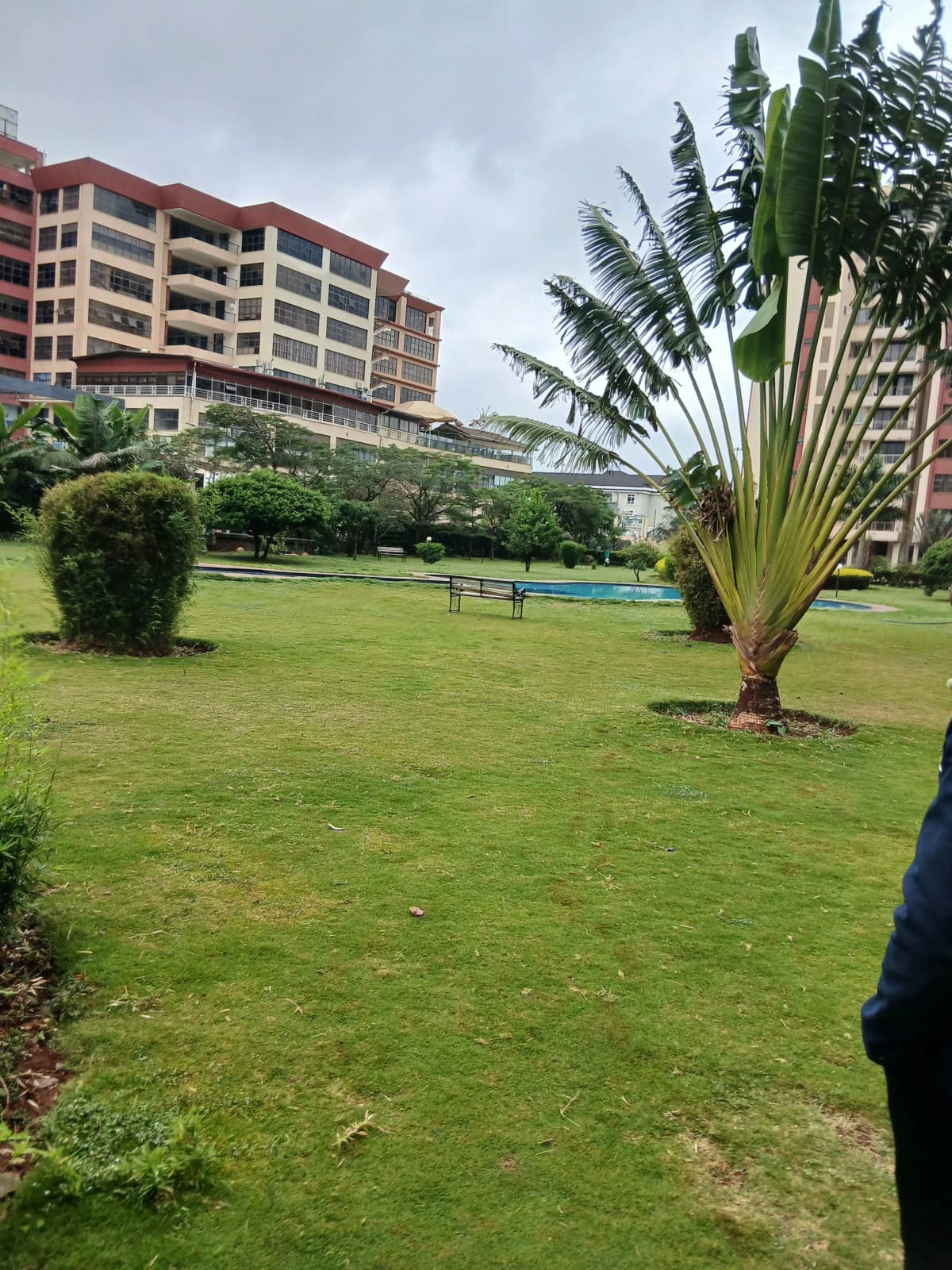 Lush compound grounds with manicured lawn and palm tree