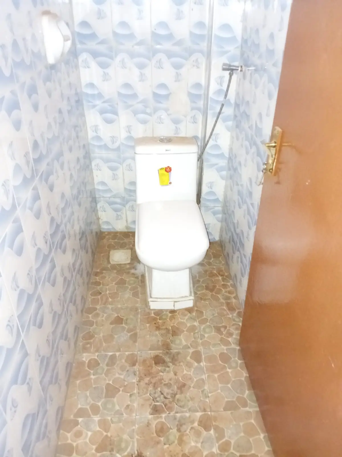 Compact toilet with blue patterned tiles and shower head