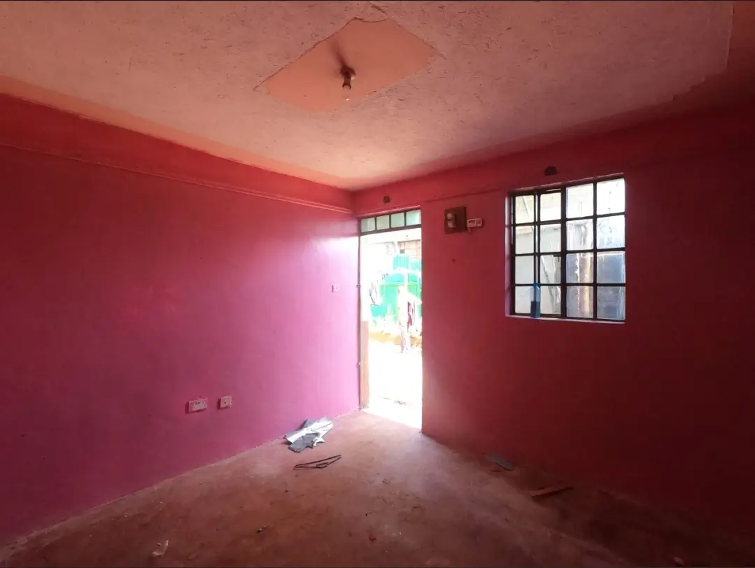 Empty bedroom with bright pink walls and natural light