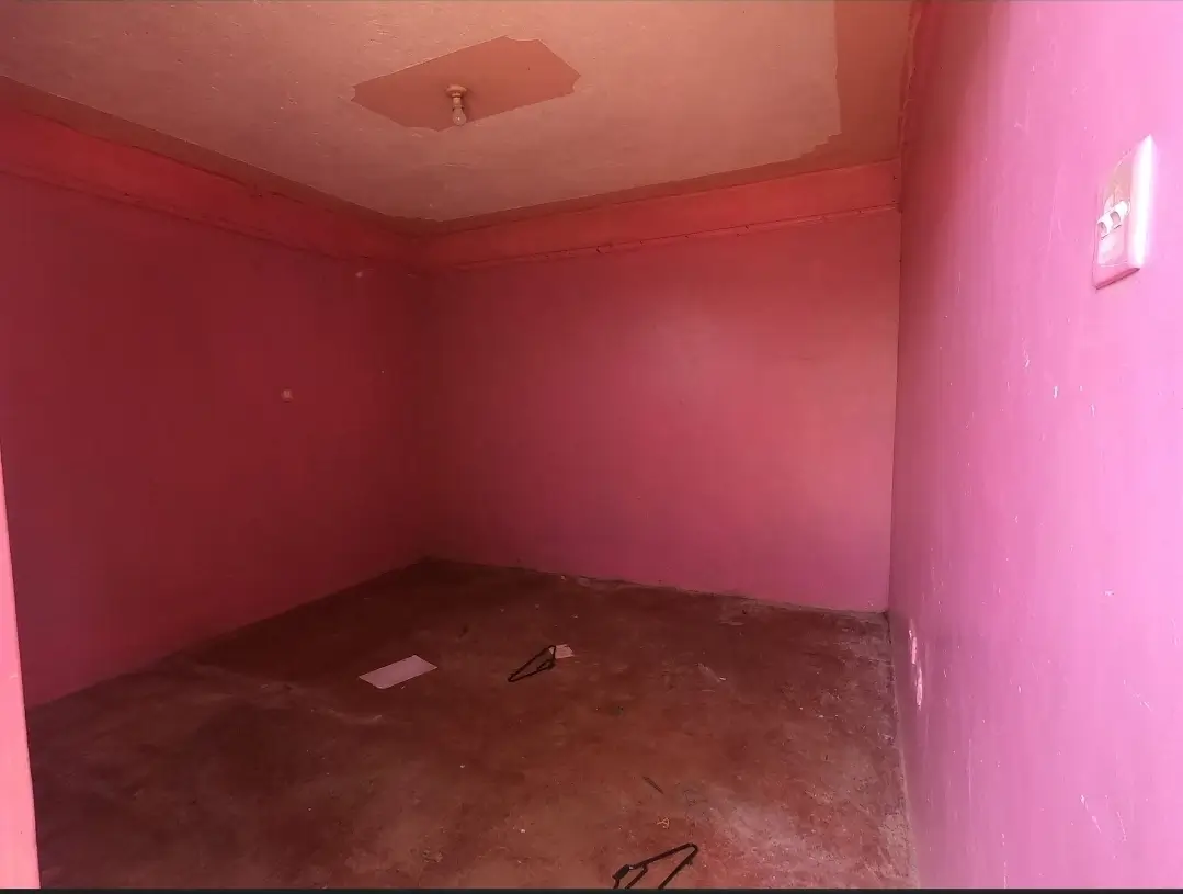 Empty bedroom with bright pink walls and concrete floor
