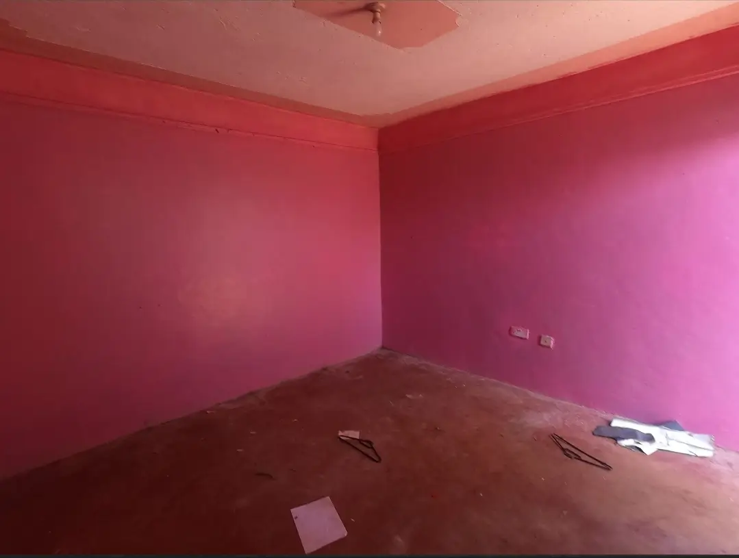 Empty bedroom with vibrant pink walls and bare floor