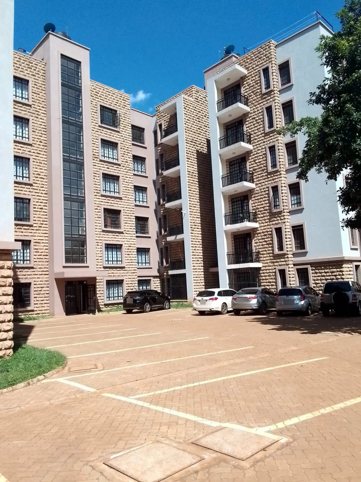 Grevillea Court