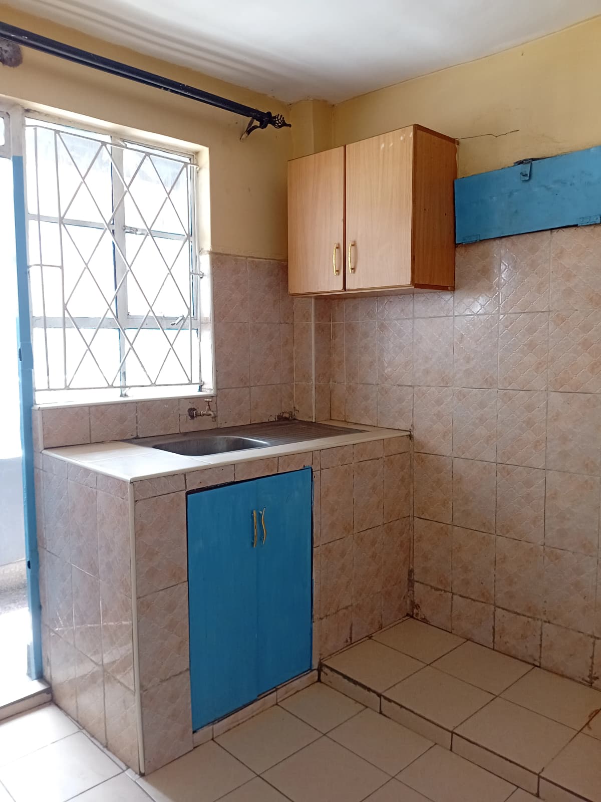Compact kitchen with blue cabinet doors and tiled backsplash