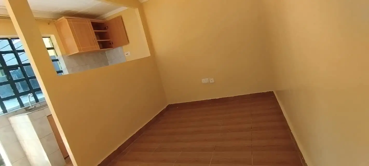 Open-plan living area with kitchen visible in background
