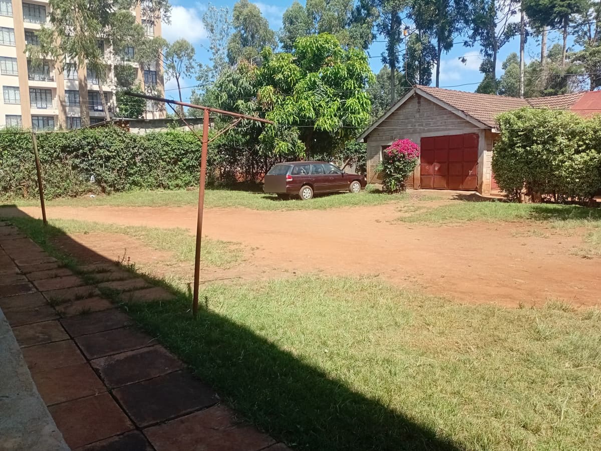 Spacious compound grounds with lawn, mature trees, shed
