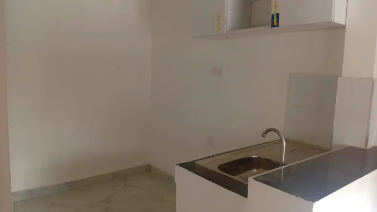 Minimal kitchen with stainless steel sink and counter space