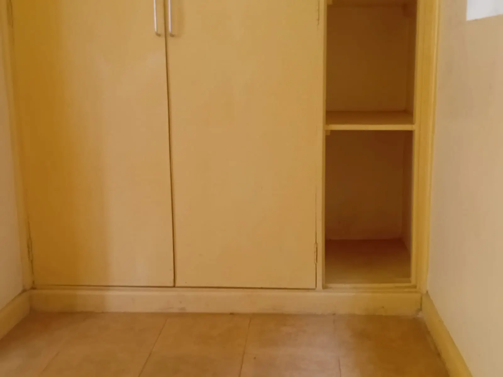 Empty bedroom with built-in wardrobe and wooden flooring