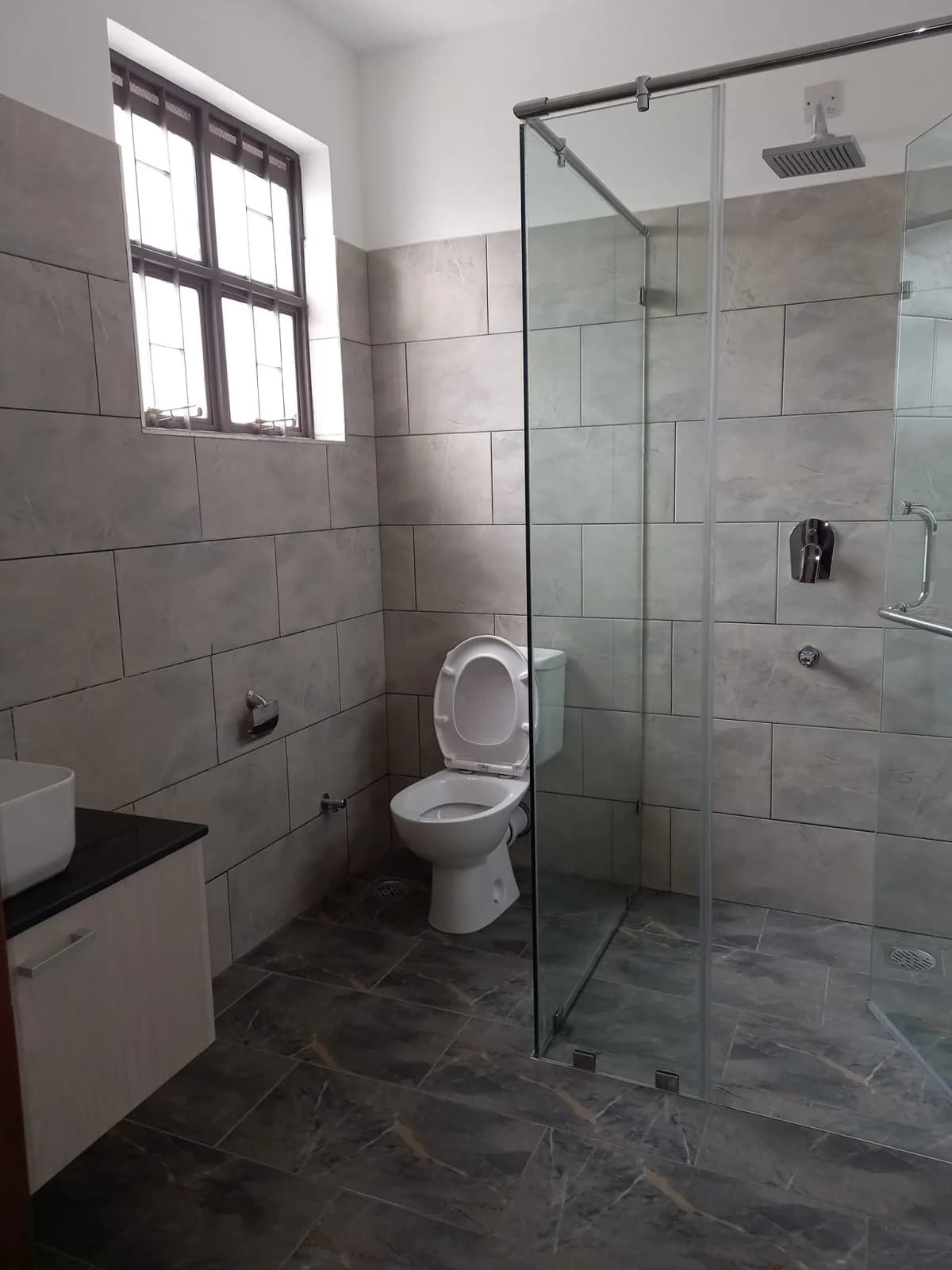 Modern bathroom with walk-in shower and toilet