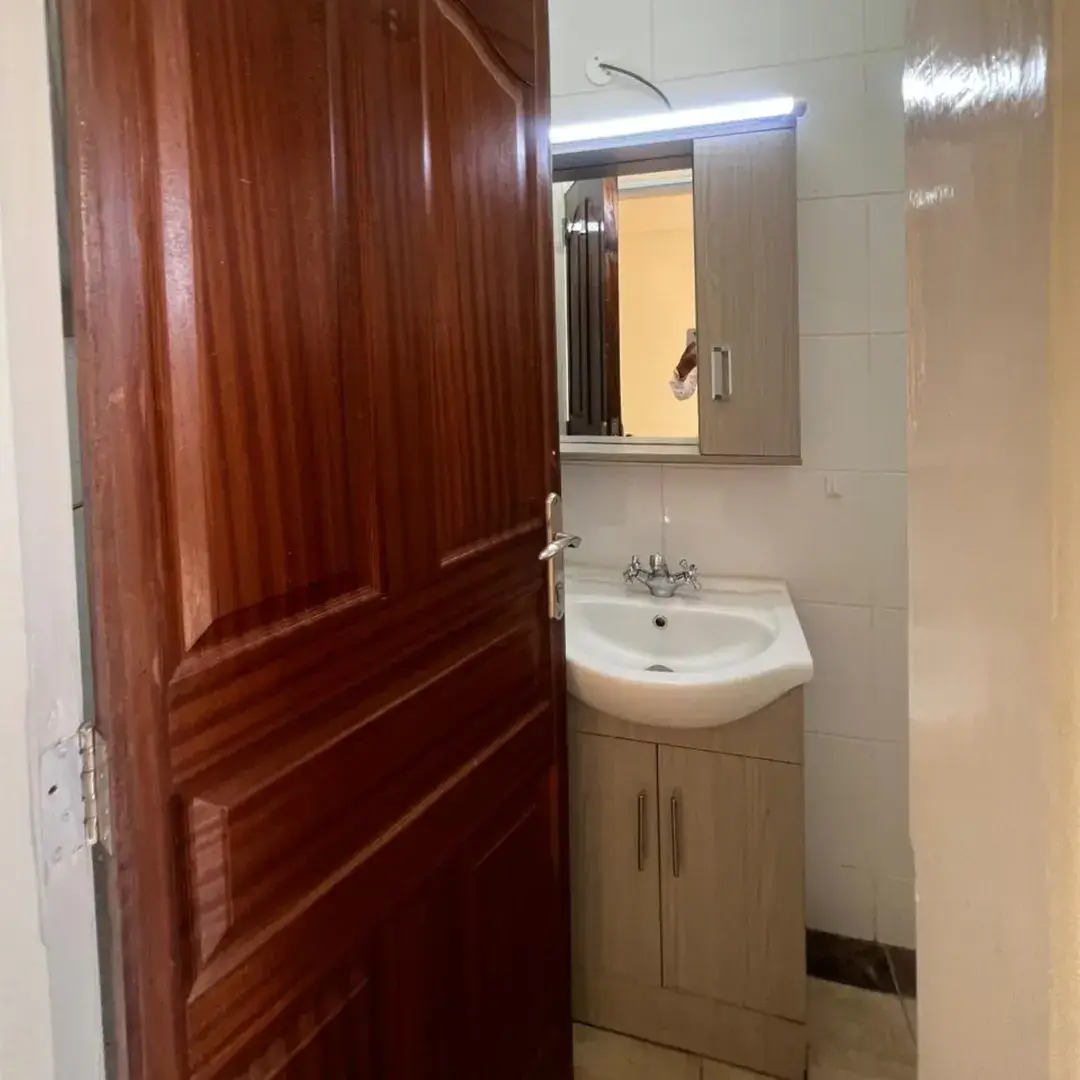 Bathroom with curved sink, mirror cabinet, wooden door