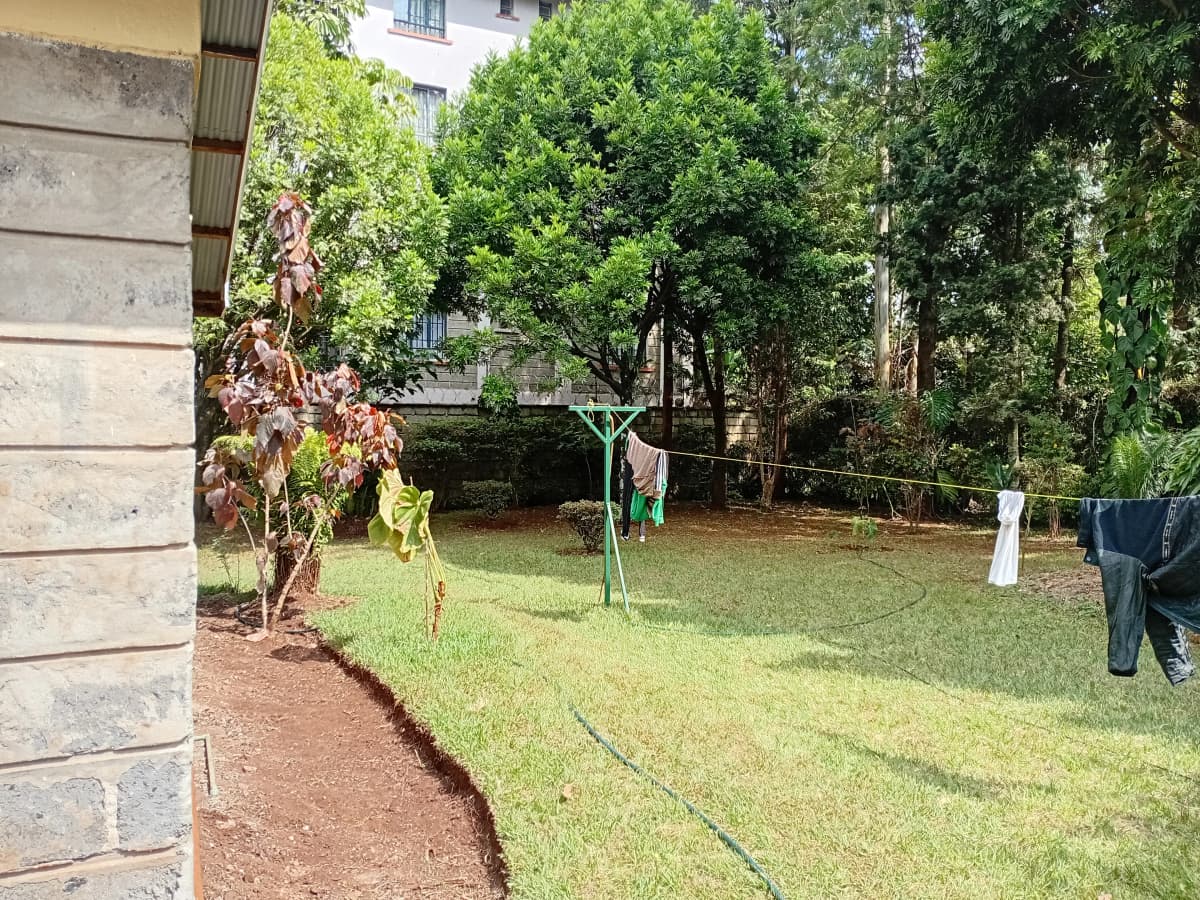 Spacious compound grounds with mature trees and lawn