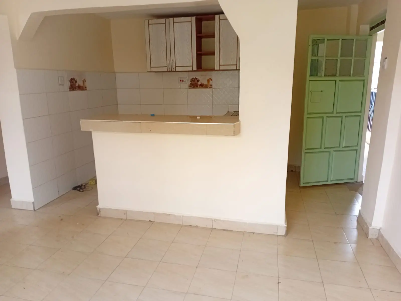 Open-plan kitchen with counter and wall-mounted cabinets