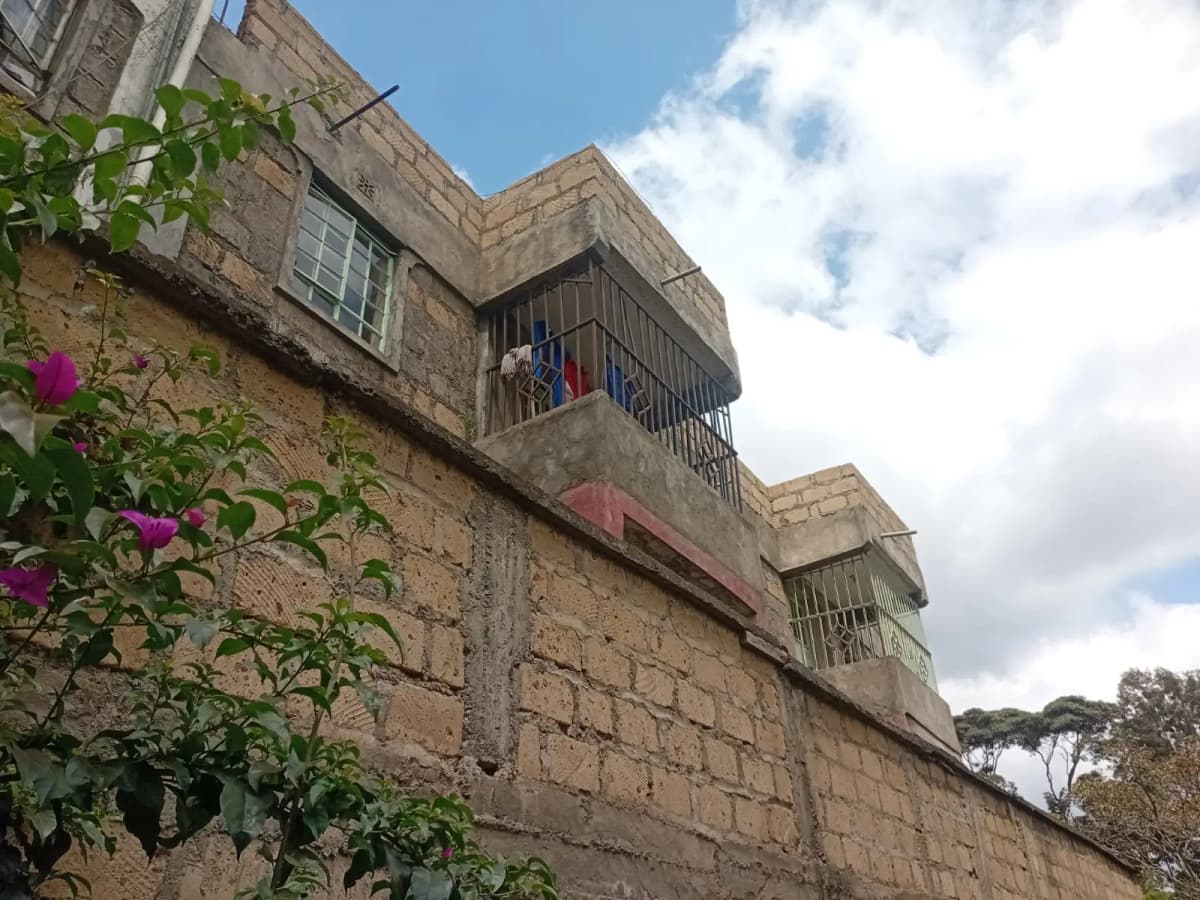 Stone building facade with balconies and flowering plants