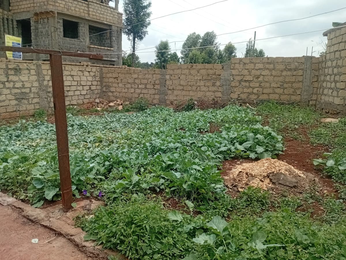Vegetable garden with mixed crops behind brick walls