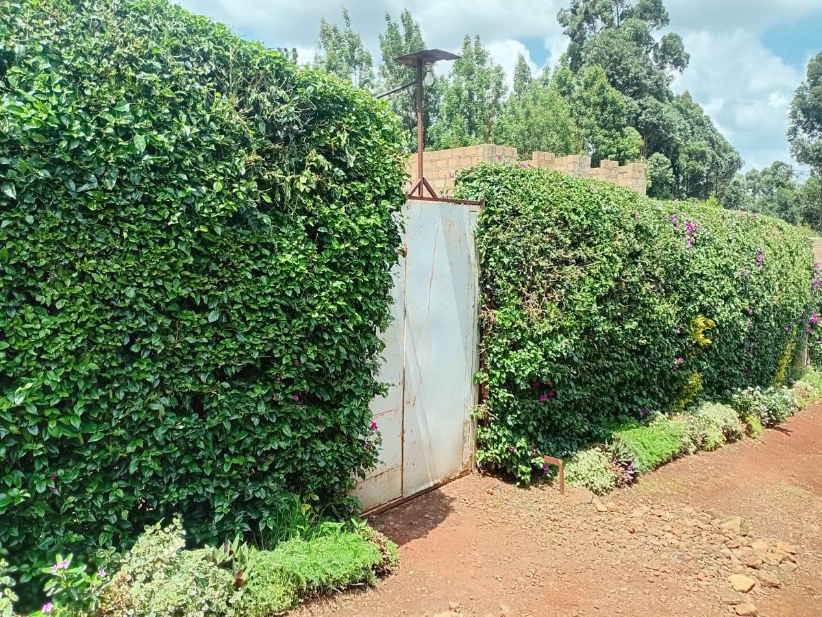 Lush green hedges with water tank on compound grounds