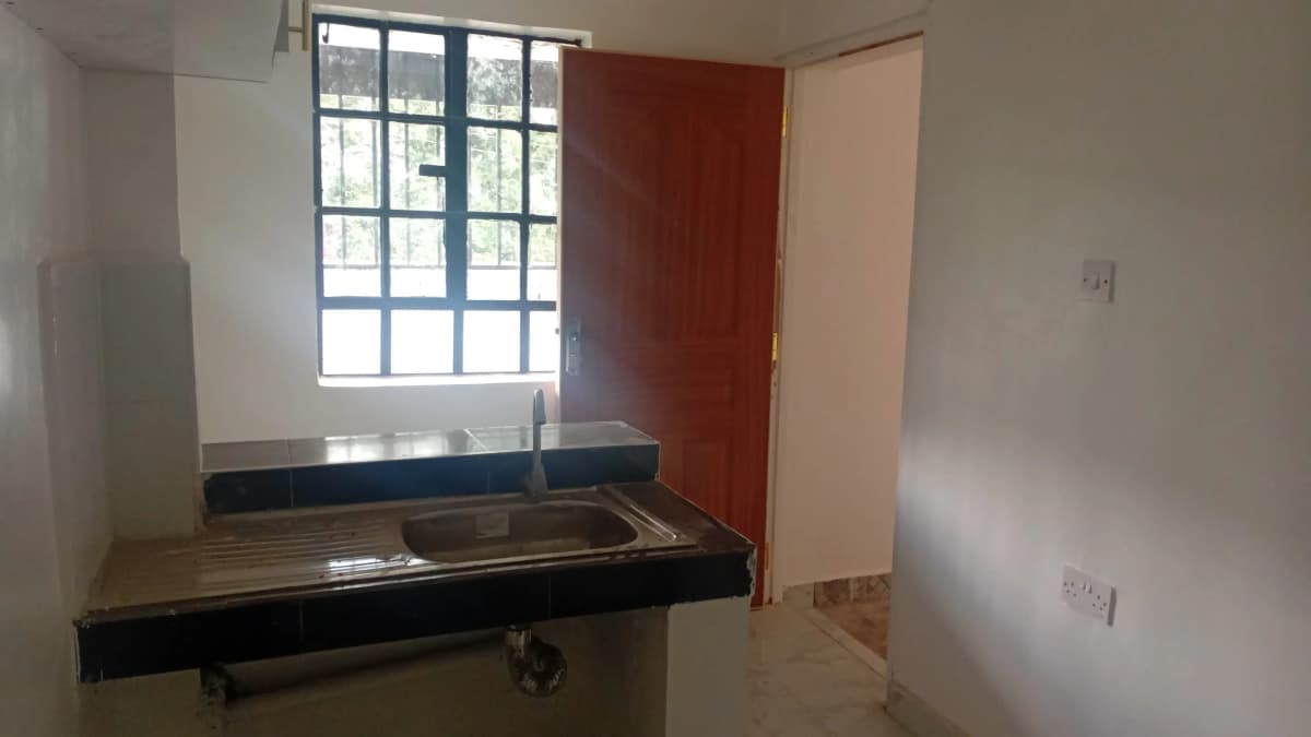 Compact kitchen with stainless steel sink and red accent wall