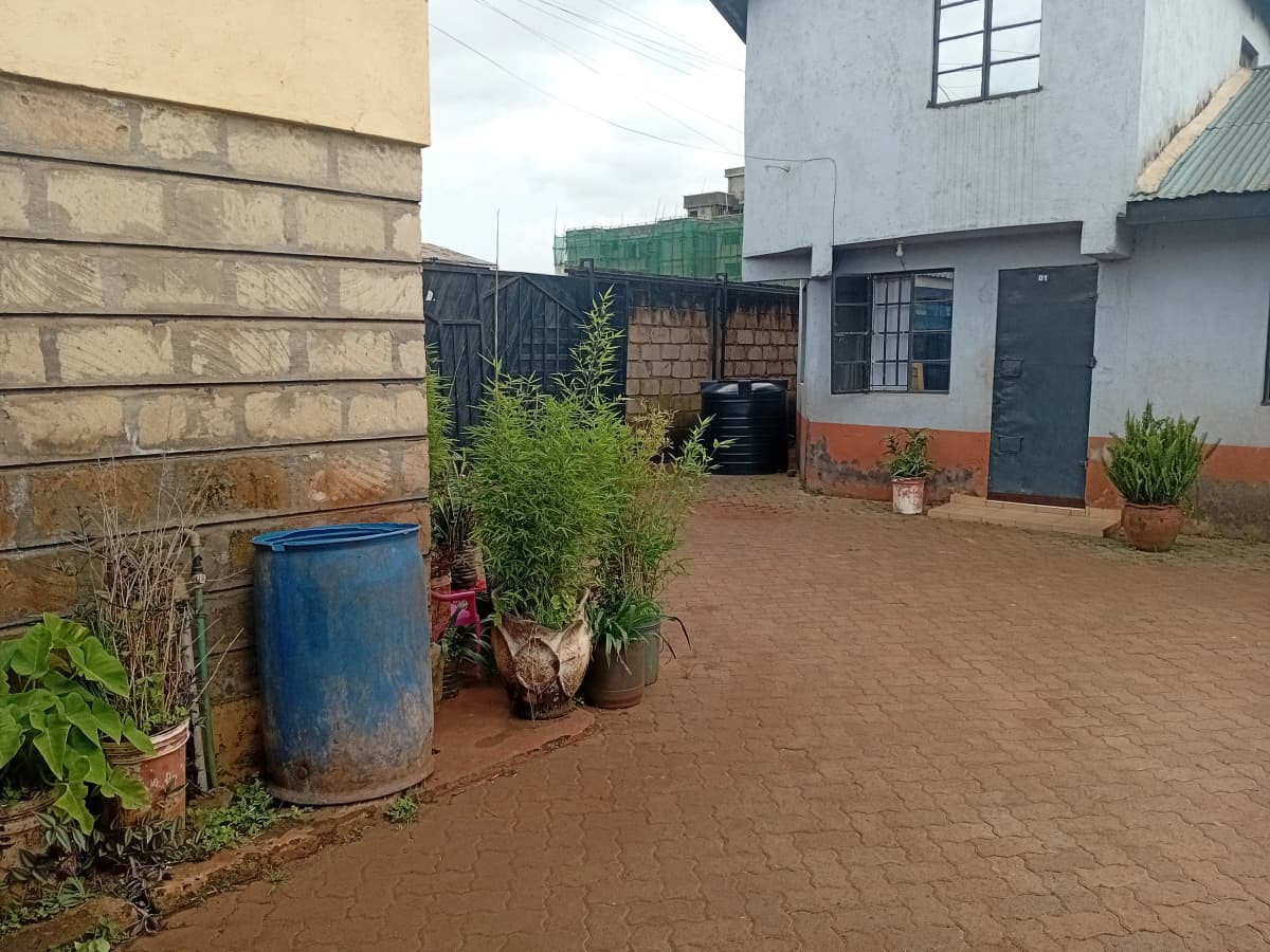 Compound courtyard with potted plants and residential buildings