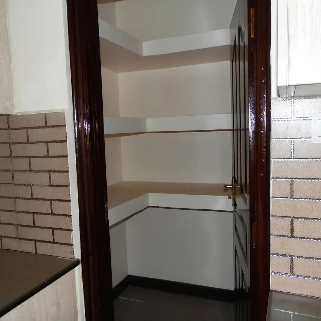 Compact pantry with built-in shelving and dark wood frame