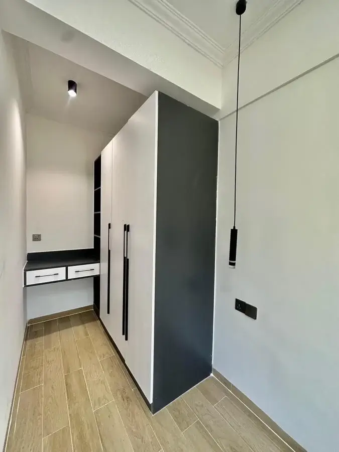 Modern hallway with built-in wardrobe and pendant lighting