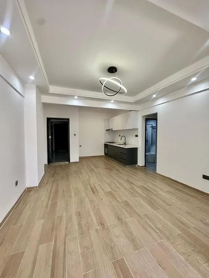 Open-plan living space with kitchen visible in background