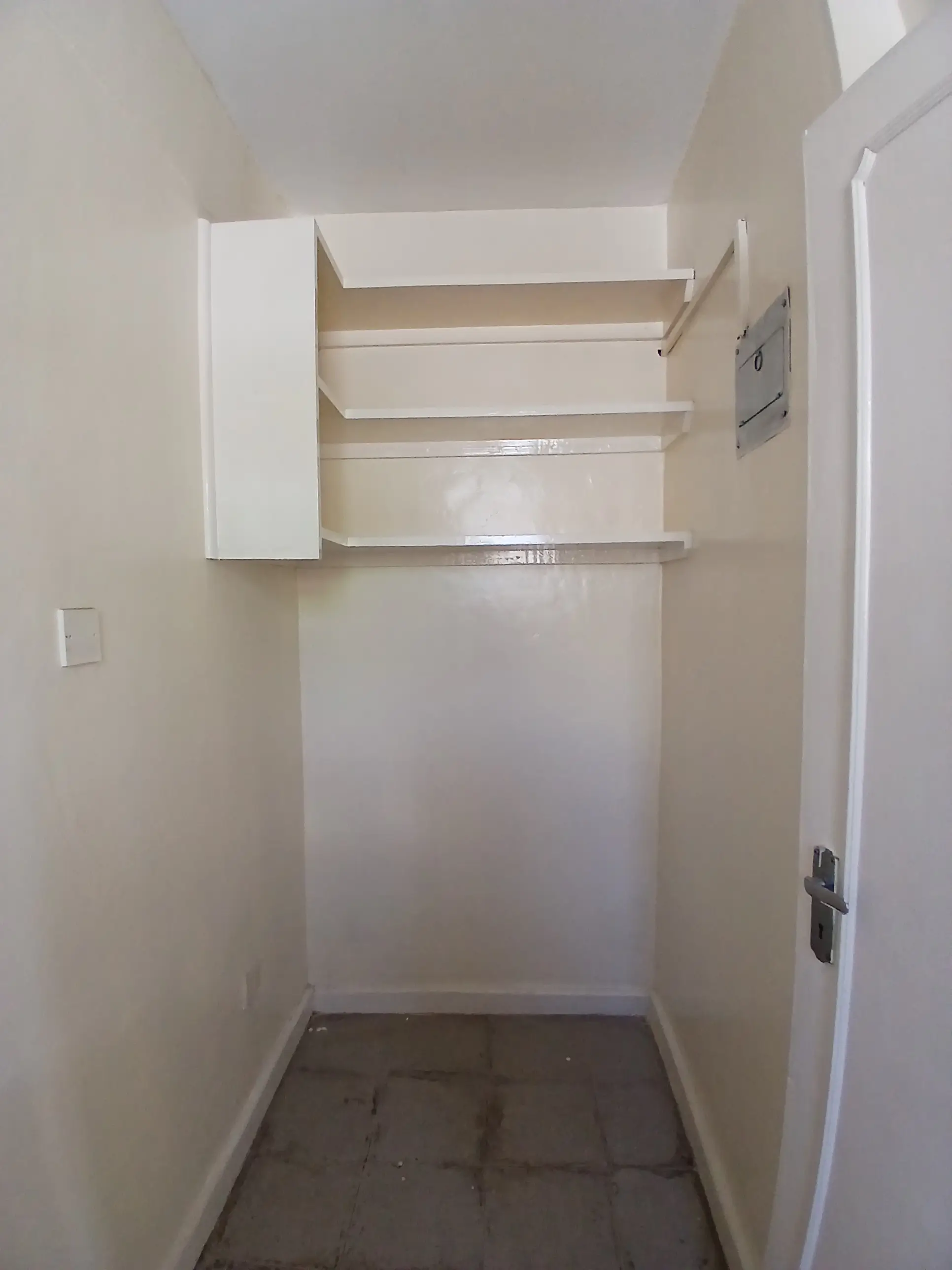 Empty pantry with wooden shelves and dark flooring