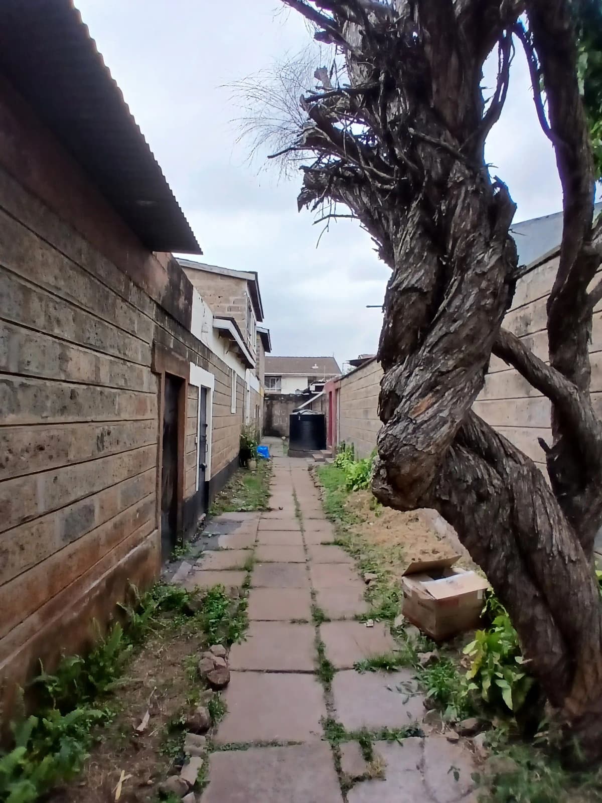 Narrow compound pathway with old gnarled tree and stone buildings