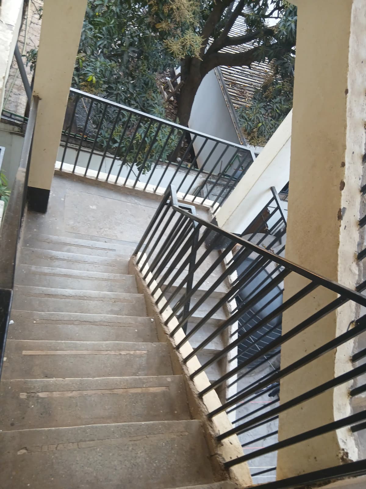 Covered balcony with metal railings overlooking mature tree