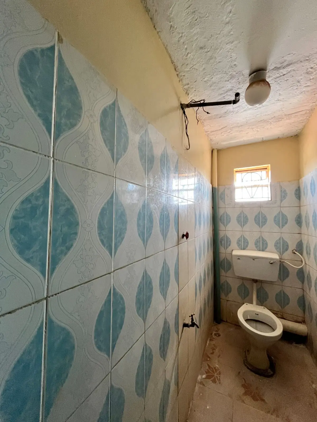 Basic bathroom with leaf-patterned tiles and toilet