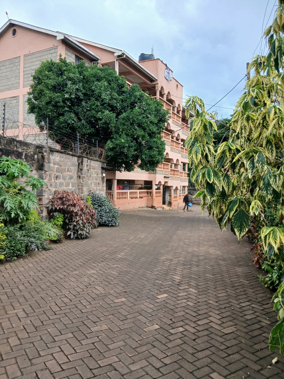 Residential building compound with mature tree and landscaping