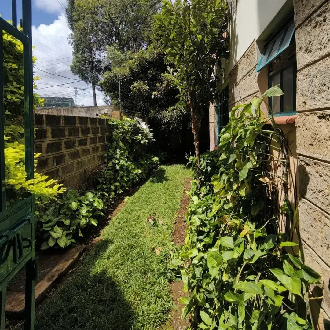 Lush green garden pathway with climbing vines and brick walls