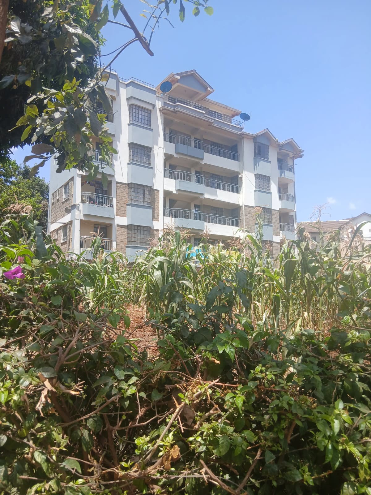 Munyui Apartments