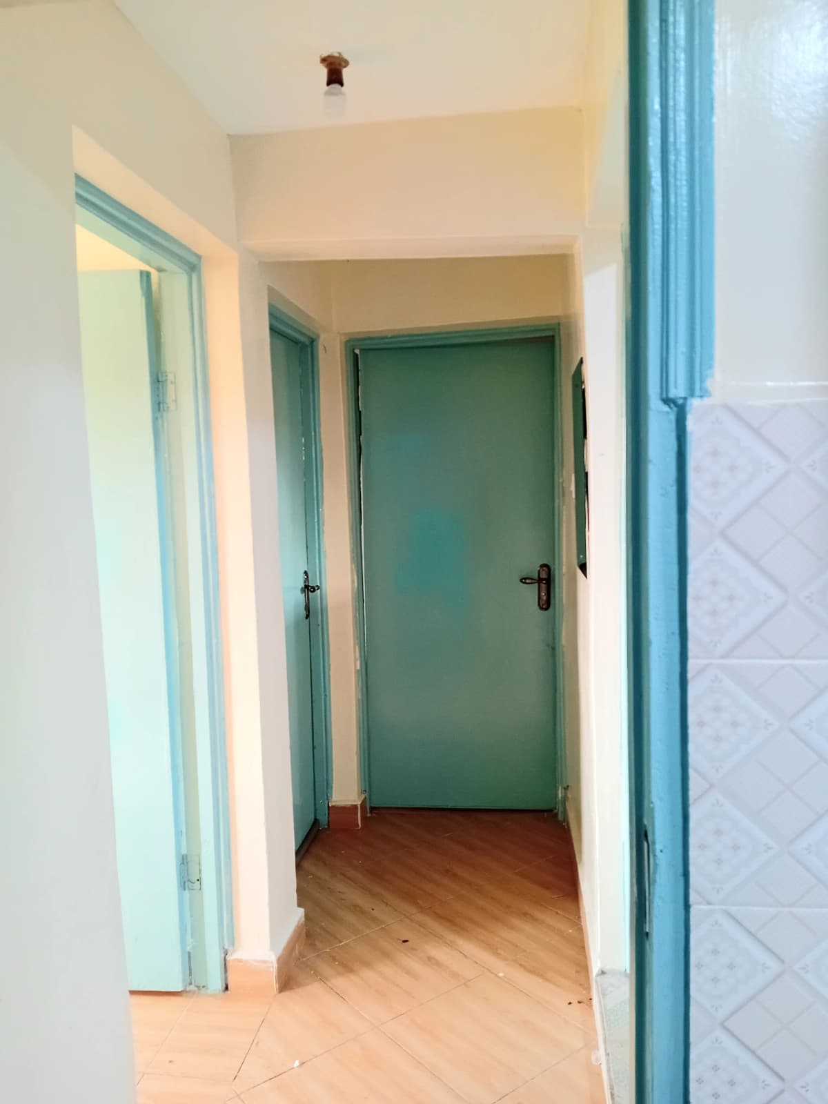 Narrow hallway with teal doors and wooden flooring