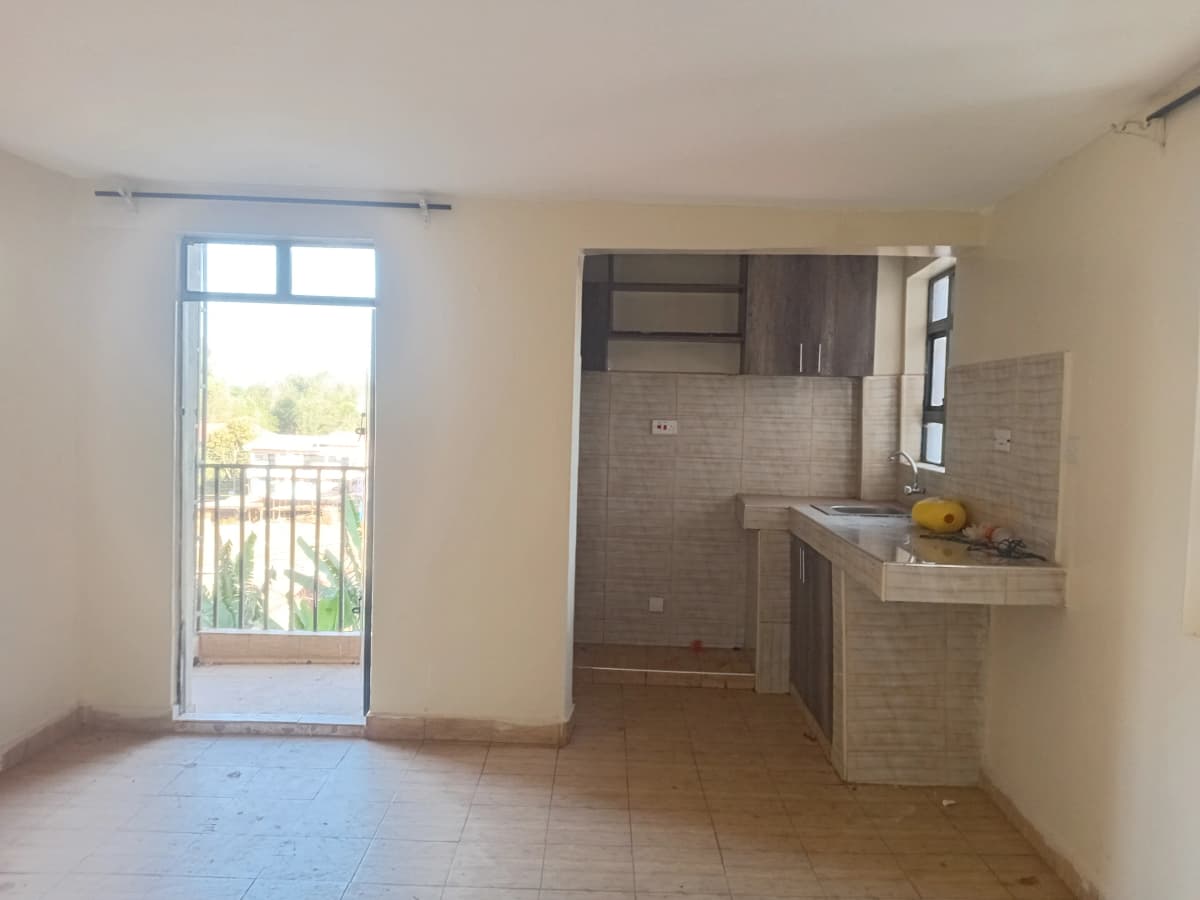 Open-plan living area with integrated kitchen and balcony access