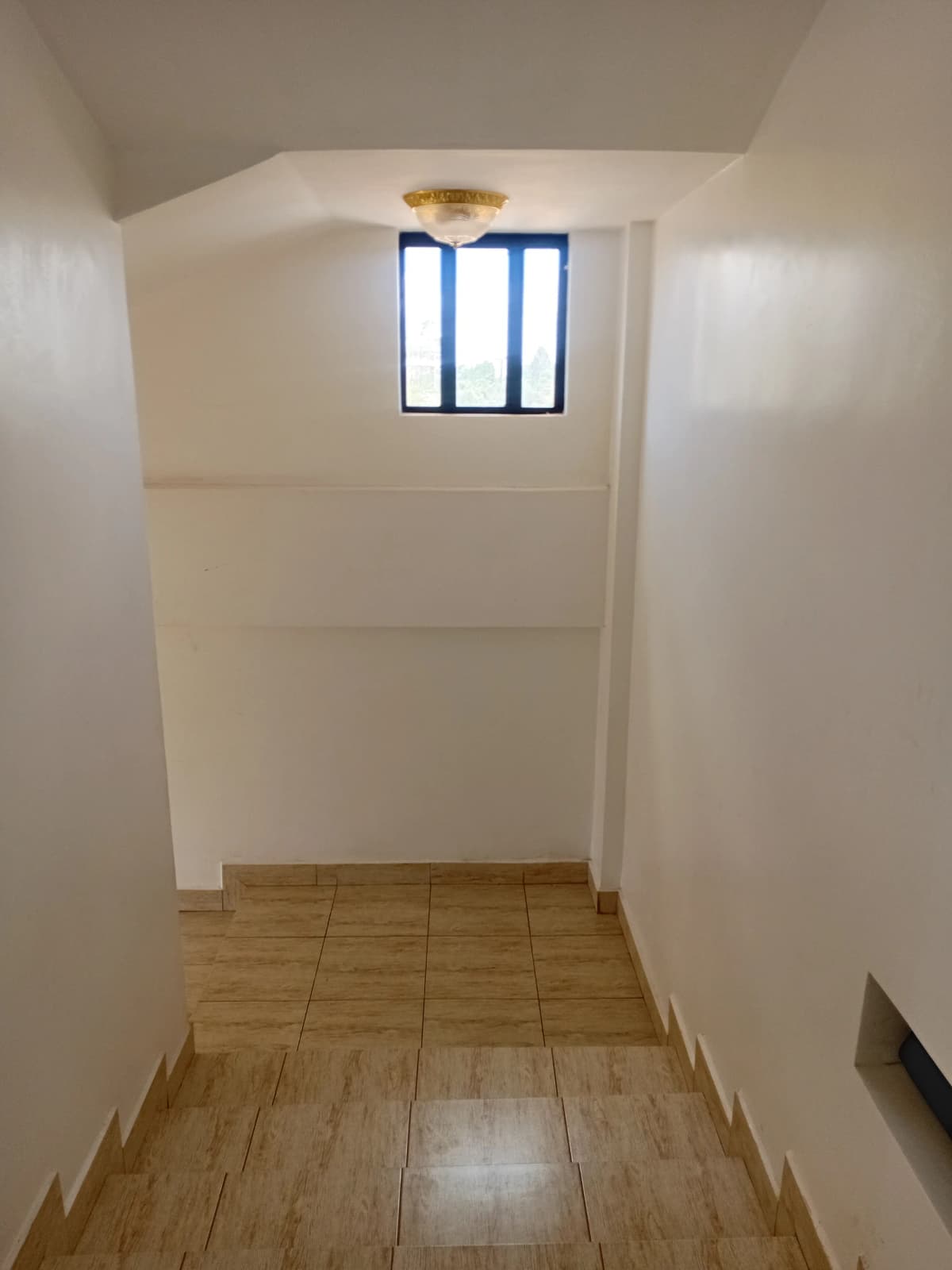 Bright corridor with wooden flooring and blue-framed window