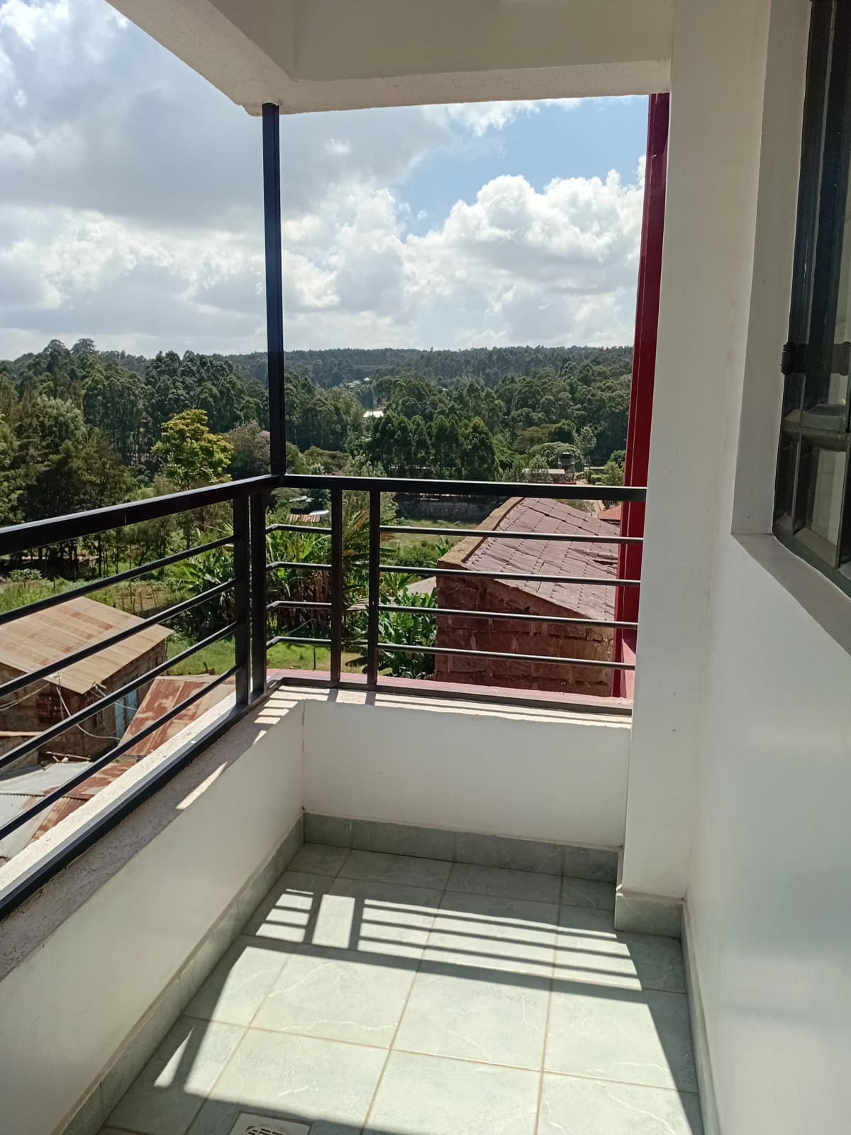 Panoramic forest and sky view from elevated balcony