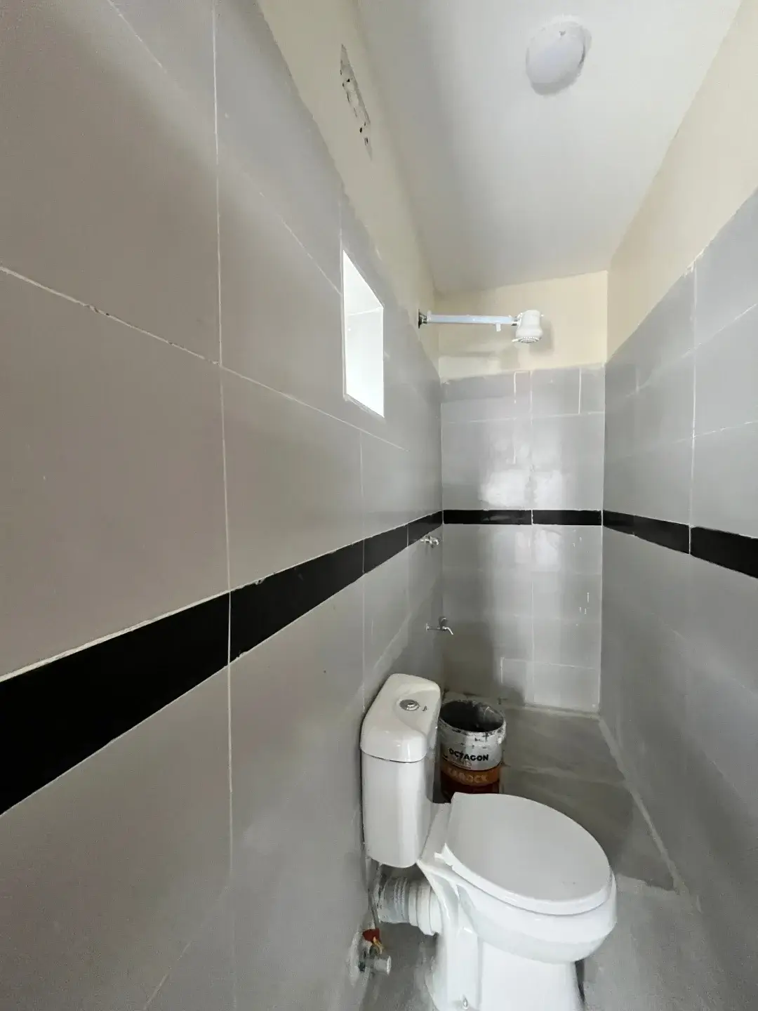 Modern toilet with white ceramic and black tile accent stripe