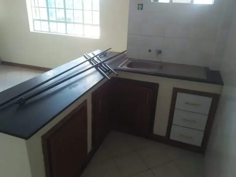 Unfurnished kitchen with countertops and base cabinets