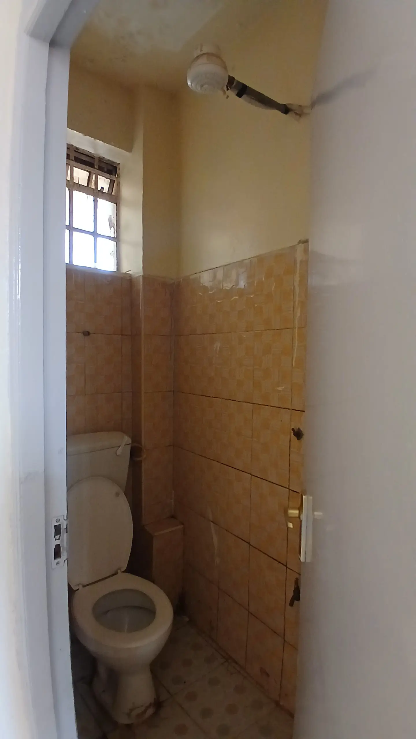 Compact bathroom with toilet and brown tile walls