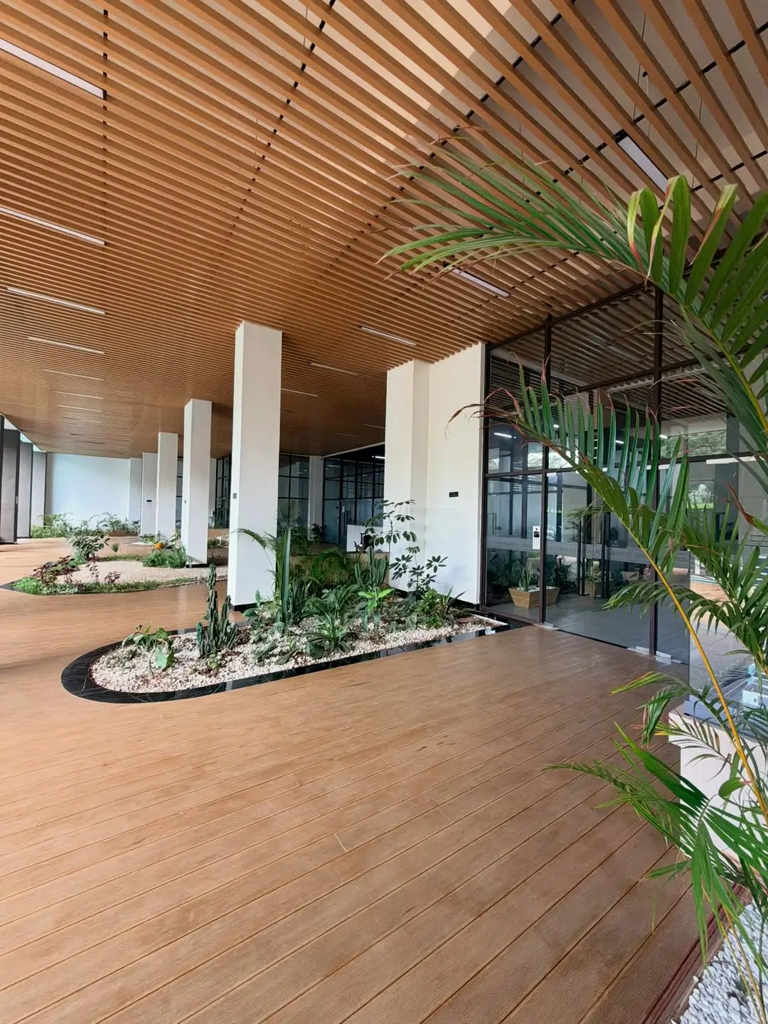Modern lobby with wooden ceiling, planters, glass entry doors