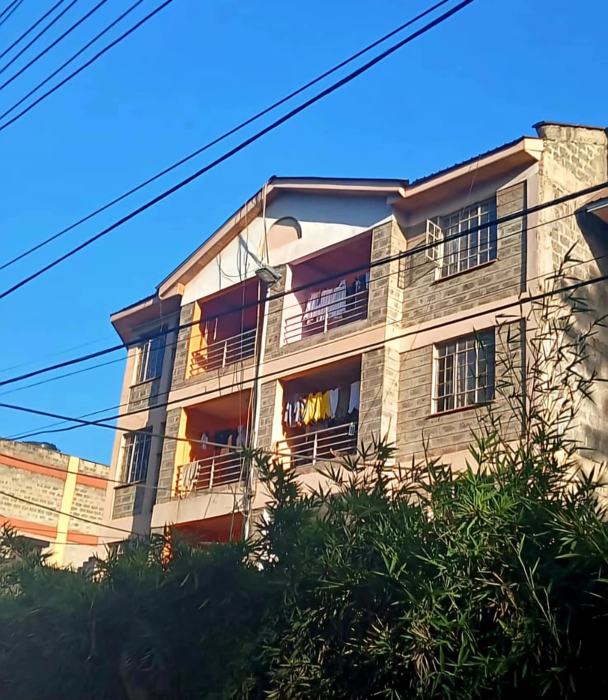 Rose Apartments