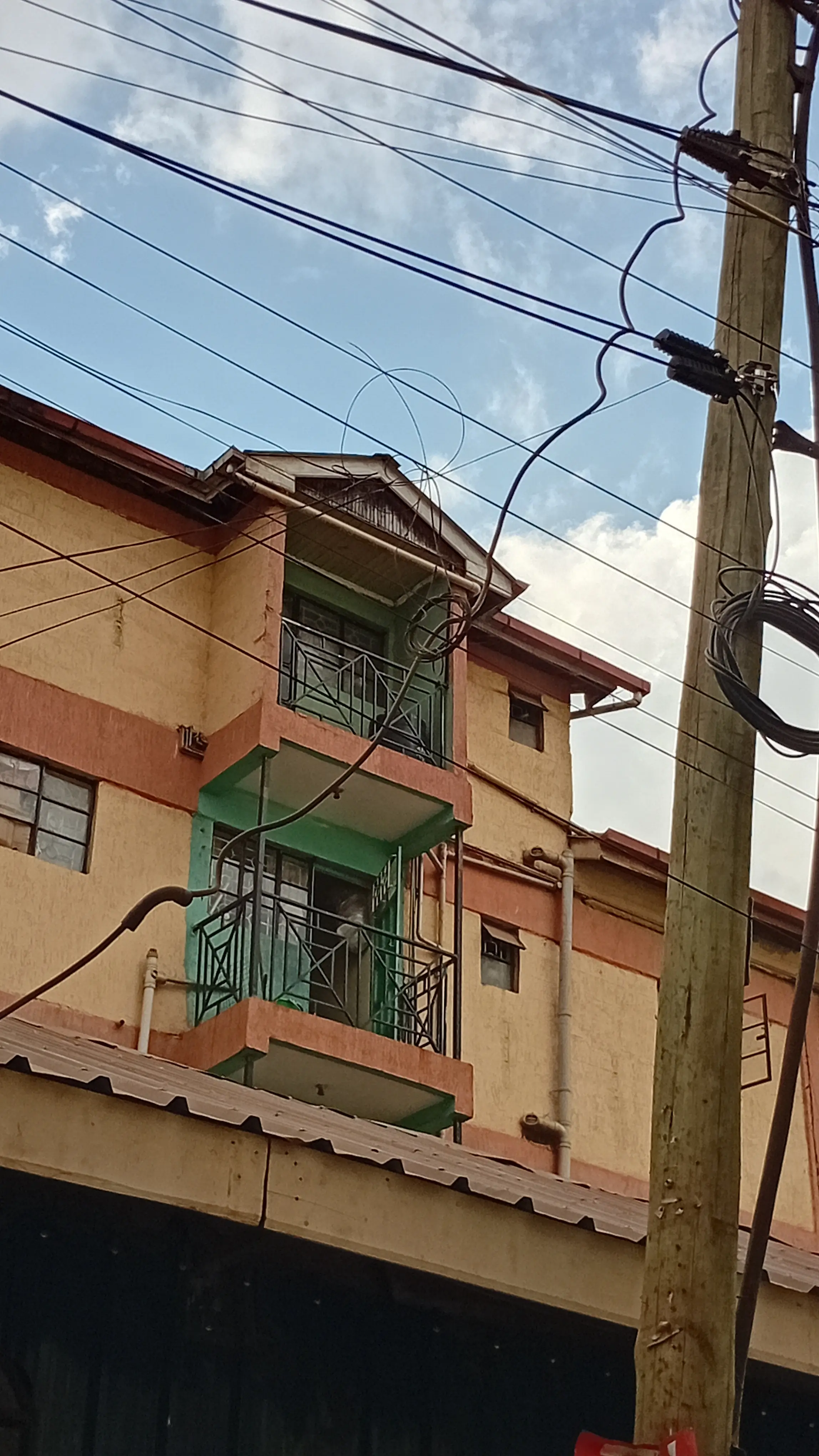Multi-story residential building facade with green balconies