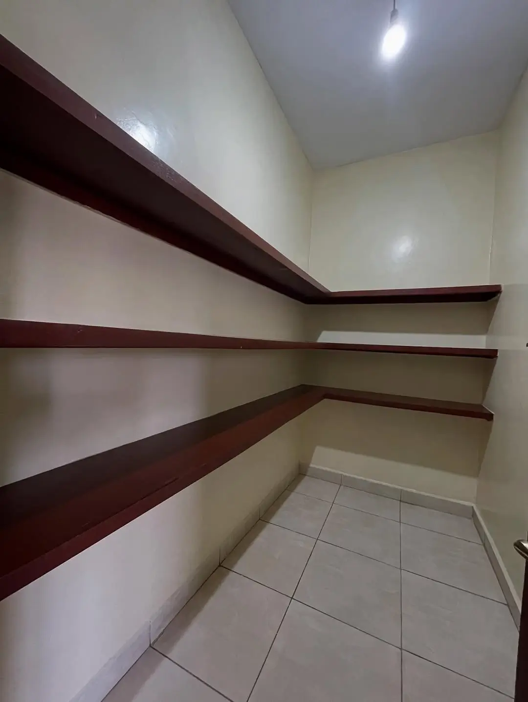 Walk-in pantry with dark wood shelving and tiled flooring